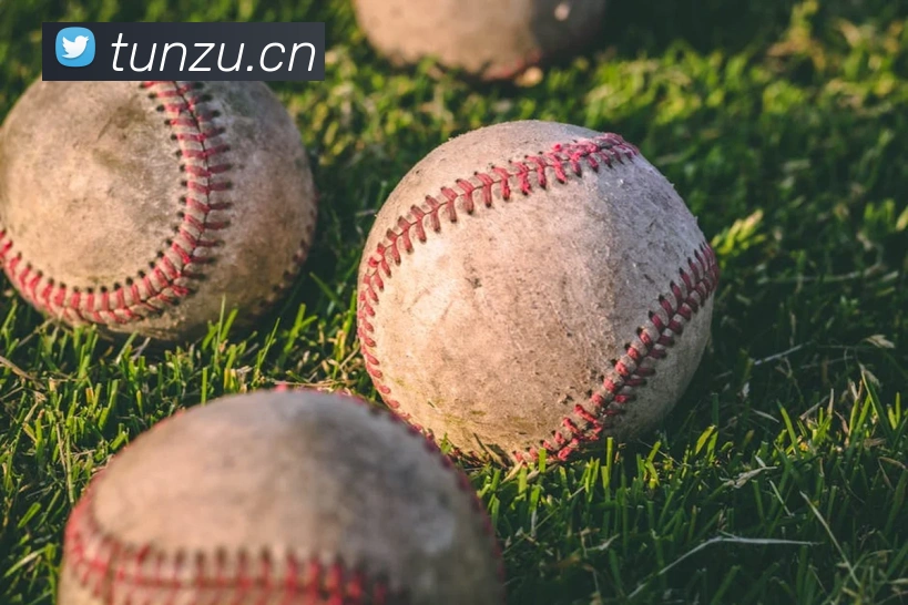 华体育app官网登录入口平台生态图